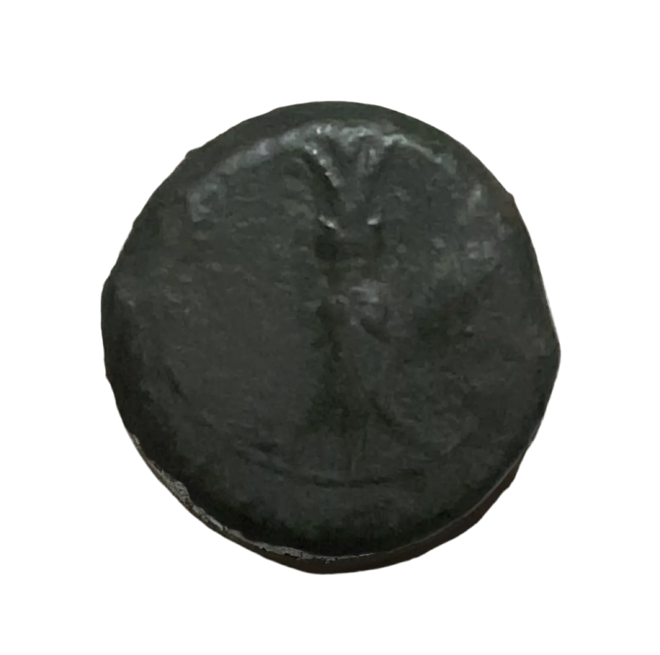 CNG Verified Authentic Syracuse, Sicily 344BC Timoleon Zeus. 1st Series. Rare Ancient Greek Coin. Beautiful Portrait.